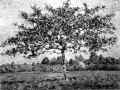 Click for a larger picture